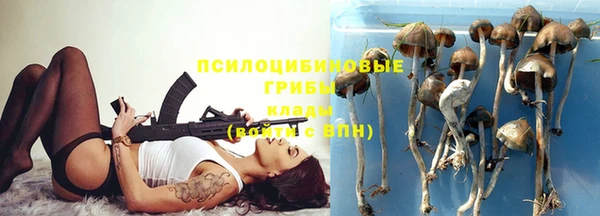мяу мяу мука Козельск
