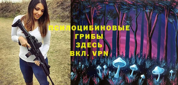 прущий лед Козловка