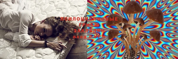 кокс Кинешма
