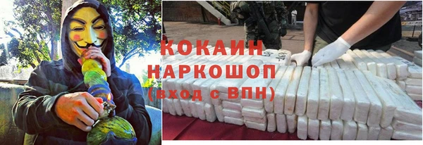 прущий лед Козловка