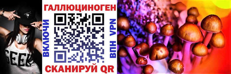 Купить закладки  Таруса  Псилоцибиновые грибы Psilocybe 